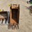 2022-wacker-neuson-ez17-image-8