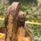c&p-def-24”-excavator-bucket-image-15