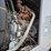 #5177-•-tramont-100-kw-towable-generator-image-16