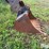 gannon-36”-backhoe-bucket-image-4