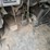 2005-international-durastar-4300-image-49