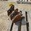 2011-wacker-neuson-1404-image-4