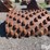 66”x51”-padfoot-shell-kit-image-2