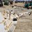 #5071-•-2013-brooks-bros-tandem-axle-pole-trailer-image-23