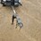 2016-wacker-neuson-ltn-6-image-10