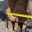strickland-12"-backhoe-bucket-image-16