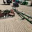 john-deere-12-image-2