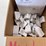 #4029-•-box-of-kenning-mini-locks-image-2