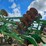john-deere-512-image-19
