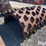 84”x58”-padfoot-shell-kit-image-3