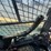 2019-caterpillar-259d3-image-23