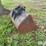 gannon-36”-backhoe-bucket-image-5