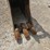 2017-wacker-neuson-et145-image-9