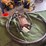 #4084-•-northrock-pump-with-hose-image-1