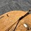 woods-bb72-image-20