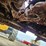 #5059-•-gerlinghoff-ns-800-8-row-30"-corn-head-057418-image-16