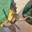 john-deere-70-image-25