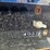 ford-2120-image-30