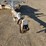 #5071-•-2013-brooks-bros-tandem-axle-pole-trailer-image-39