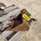 2011-wacker-neuson-1404-image-2