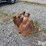 strickland-24"-backhoe-bucket-image-5