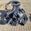 case-ih-1200-image-5