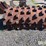 84”x58”-padfoot-shell-kit-image-2
