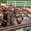 glencoe-soil-saver-image-29