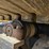 kubota-kx080-4-image-25