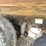 #1328-•-2008-freightliner-dump-truck-(has-mn-title)-image-8