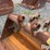 strickland-u1373-42”-excavator-cleanout-bucket-image-10