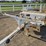 #5071-•-2013-brooks-bros-tandem-axle-pole-trailer-image-40