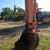 2018-hitachi-zx120-6-image-7
