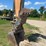 2019-case-cx130d-image-6