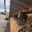 2017-caterpillar-d6t-xw-image-10