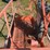 2017-jlg-660sj-image-8