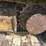2017-caterpillar-336fl-image-13
