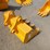 caterpillar-303-image-3