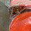 #2696-•-(2)-ratchet-straps,-1.5"-w-x-15'-l-(pr12)-image-4