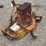 3pt-hitch-woods-finishing-mower-image-6
