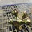 #2734-•-tri-ball-with-hook-trailer-hitch-(cw)-image-9