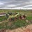 john-deere-3945-image-1