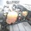 2013-international-terrastar-image-18