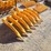 caterpillar-305-image-2
