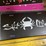 #2597-•-lisence-plates-(pr10)-image-4