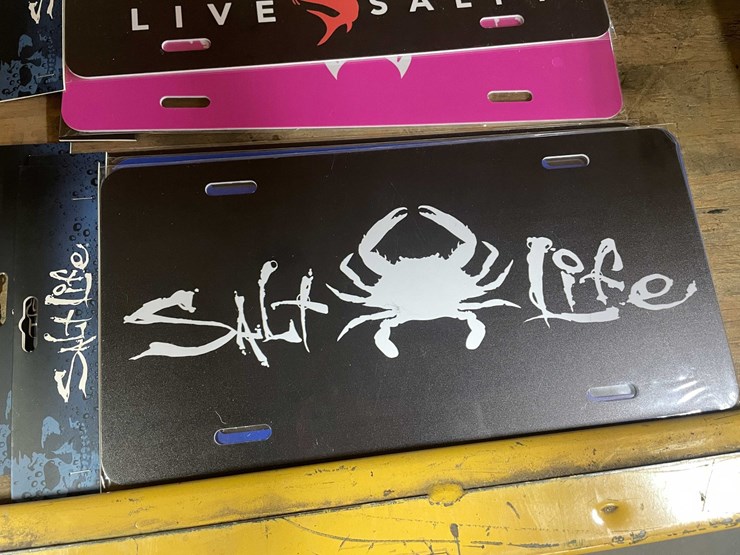 #2597-•-lisence-plates-(pr10)-image-4