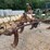 sub-soiler-image-3