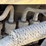 2005-bobcat-t180-image-42