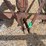 8-row-chisel-plow-image-8