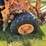 hyundai-hl940-image-15